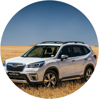 Отзывы на ремонт Кузовной ремонт Subaru Forester